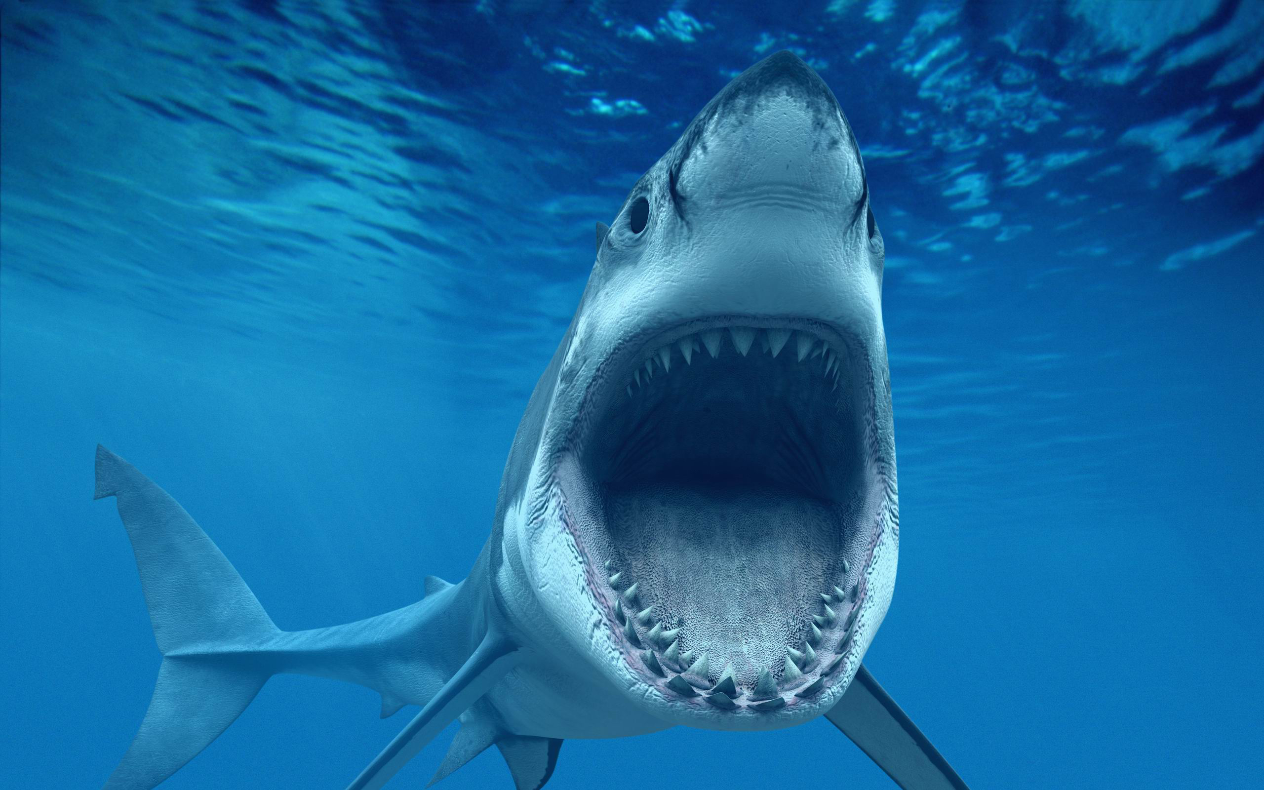 2 Lessons From Shark Tank & The Profit
